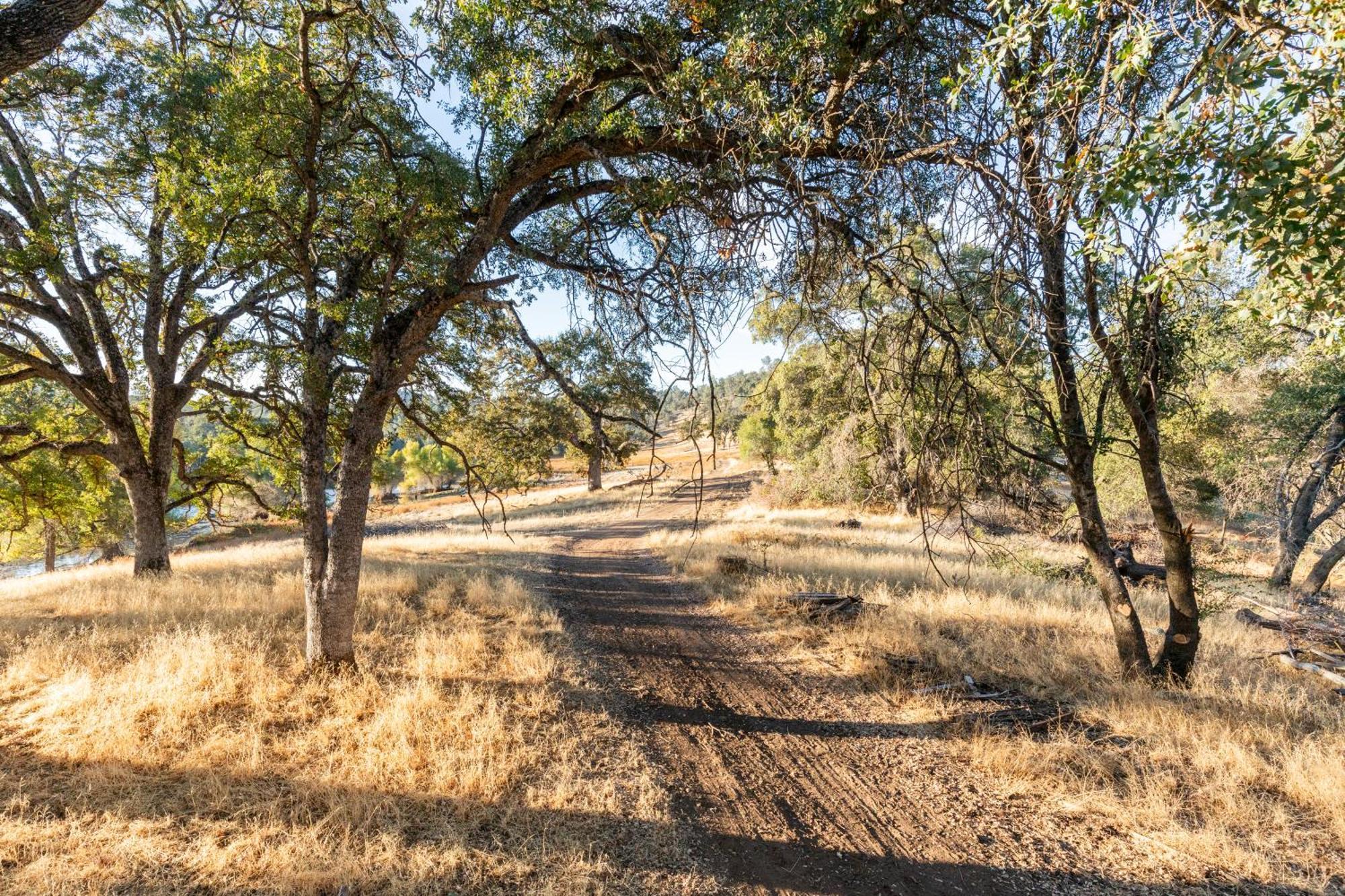 Rolling Oaks Ranch - 200 Acres Of Lakeside Beauty & Countryside Serenity Mariposa Dış mekan fotoğraf