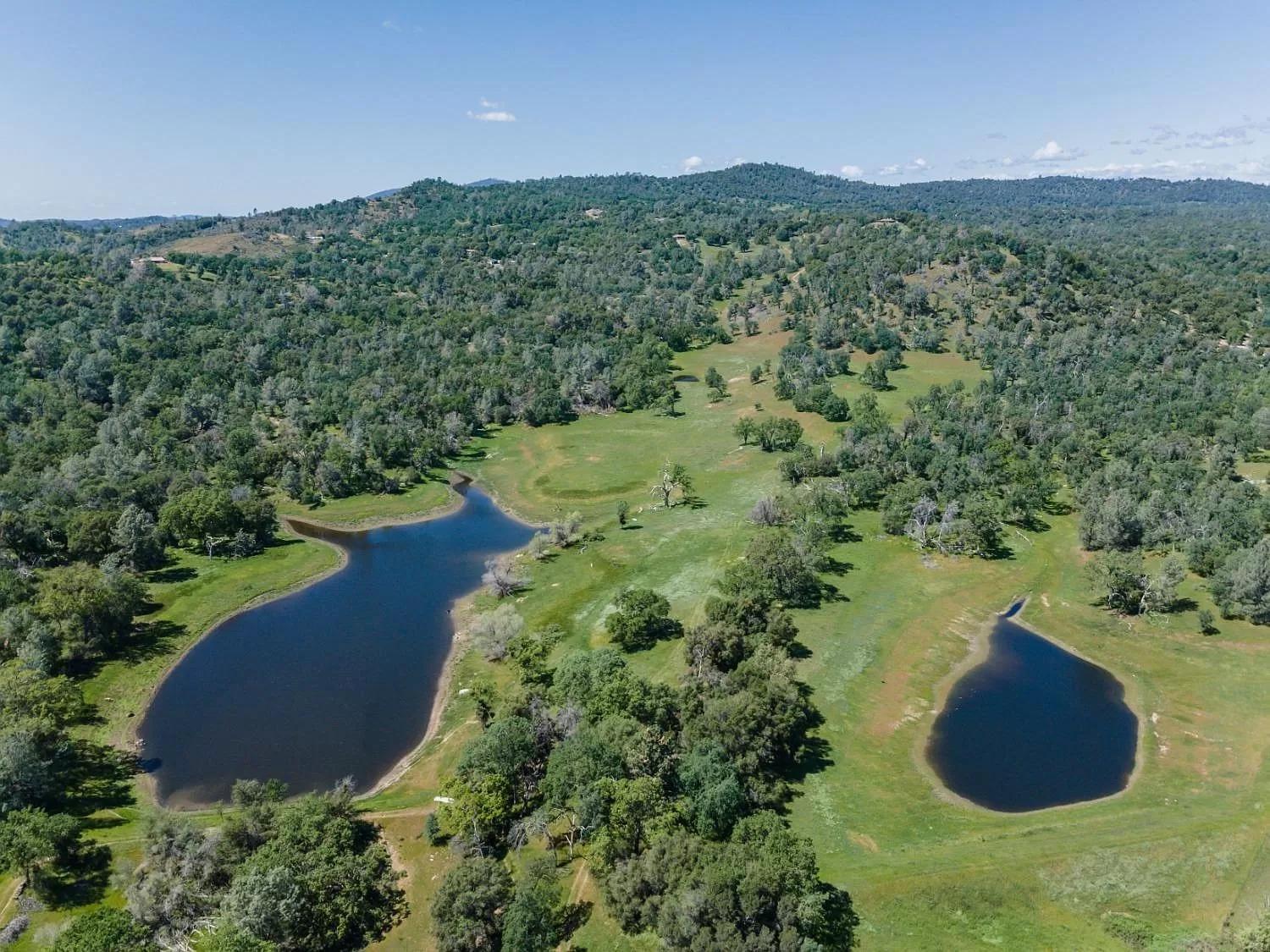 Rolling Oaks Ranch - 200 Acres Of Lakeside Beauty & Countryside Serenity Mariposa Dış mekan fotoğraf