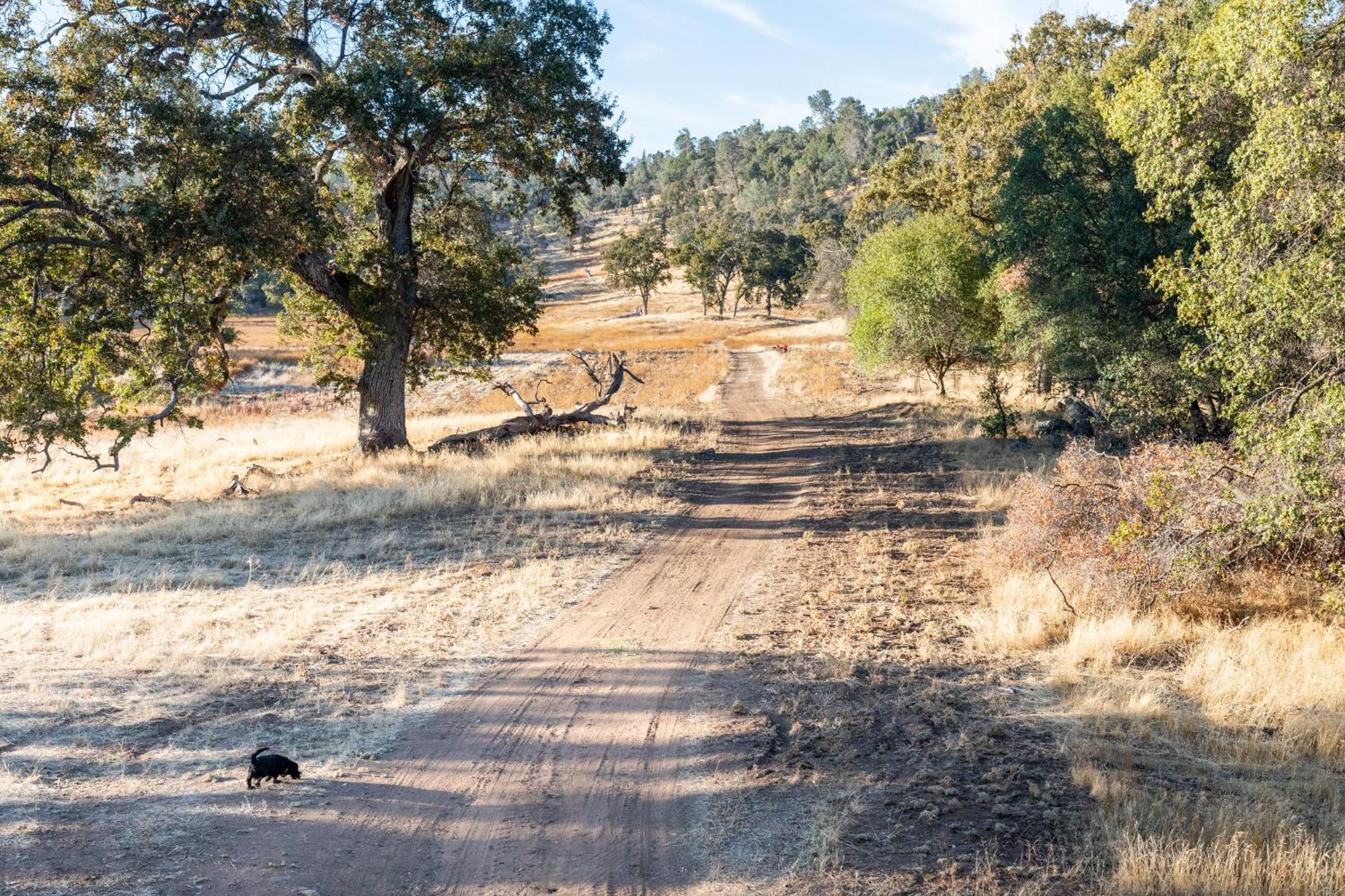 Rolling Oaks Ranch - 200 Acres Of Lakeside Beauty & Countryside Serenity Mariposa Dış mekan fotoğraf
