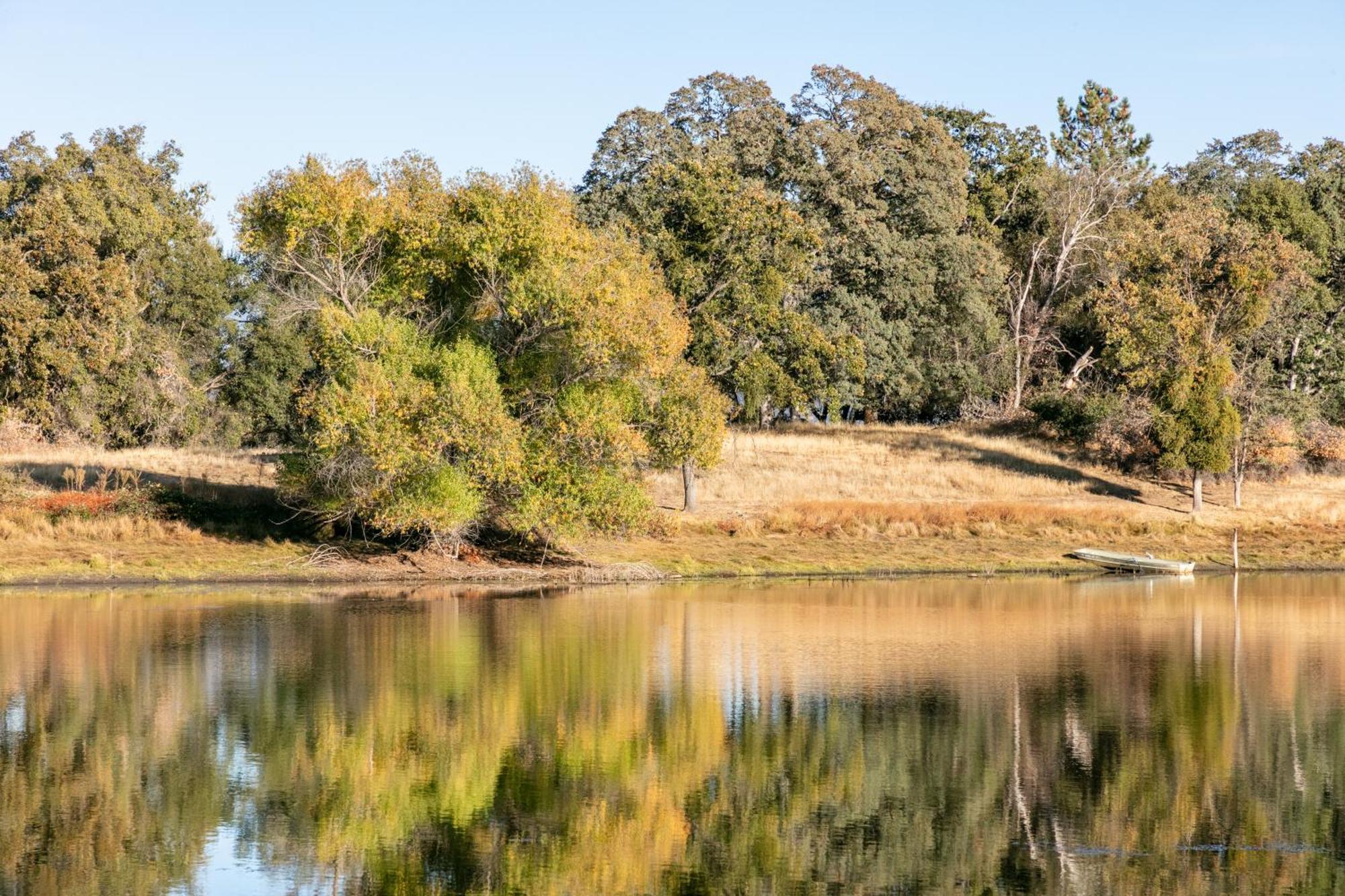 Rolling Oaks Ranch - 200 Acres Of Lakeside Beauty & Countryside Serenity Mariposa Dış mekan fotoğraf