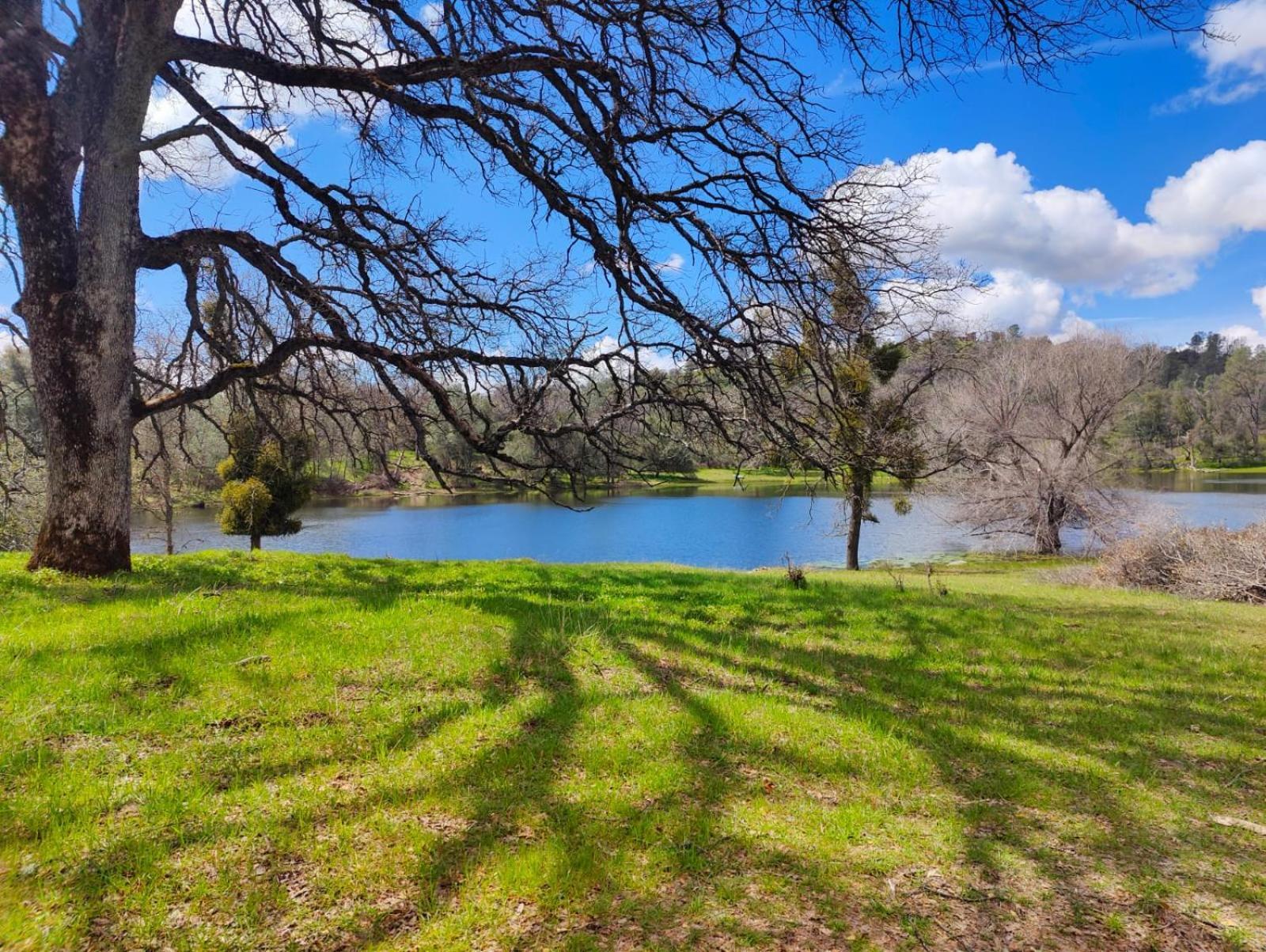Rolling Oaks Ranch - 200 Acres Of Lakeside Beauty & Countryside Serenity Mariposa Dış mekan fotoğraf